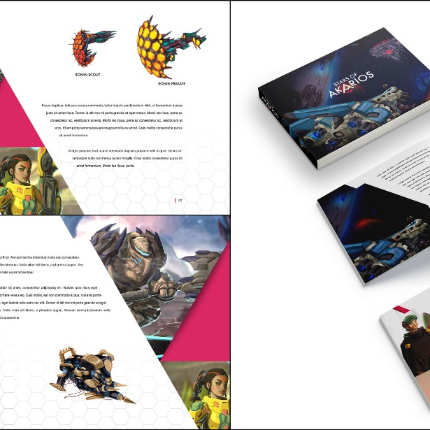 Stars of Akarios - Artbook