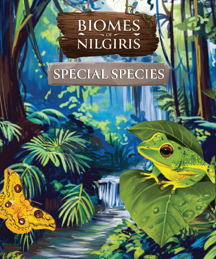 Biomes of Nilgiris: Special Species Expansion *PRE-ORDER*