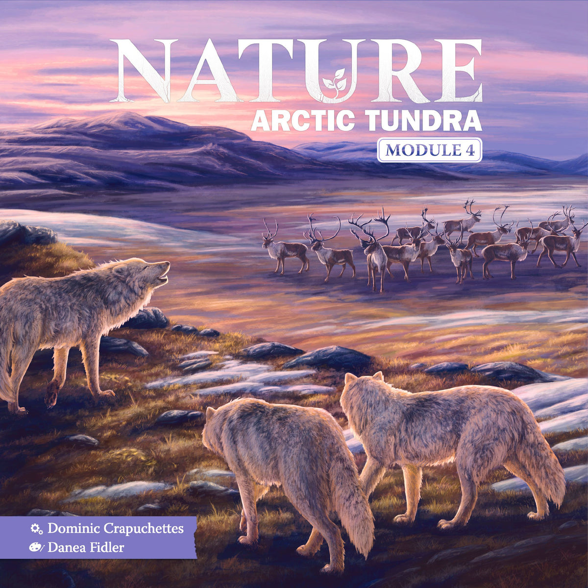 Nature - Module 4: Arctic Tundra