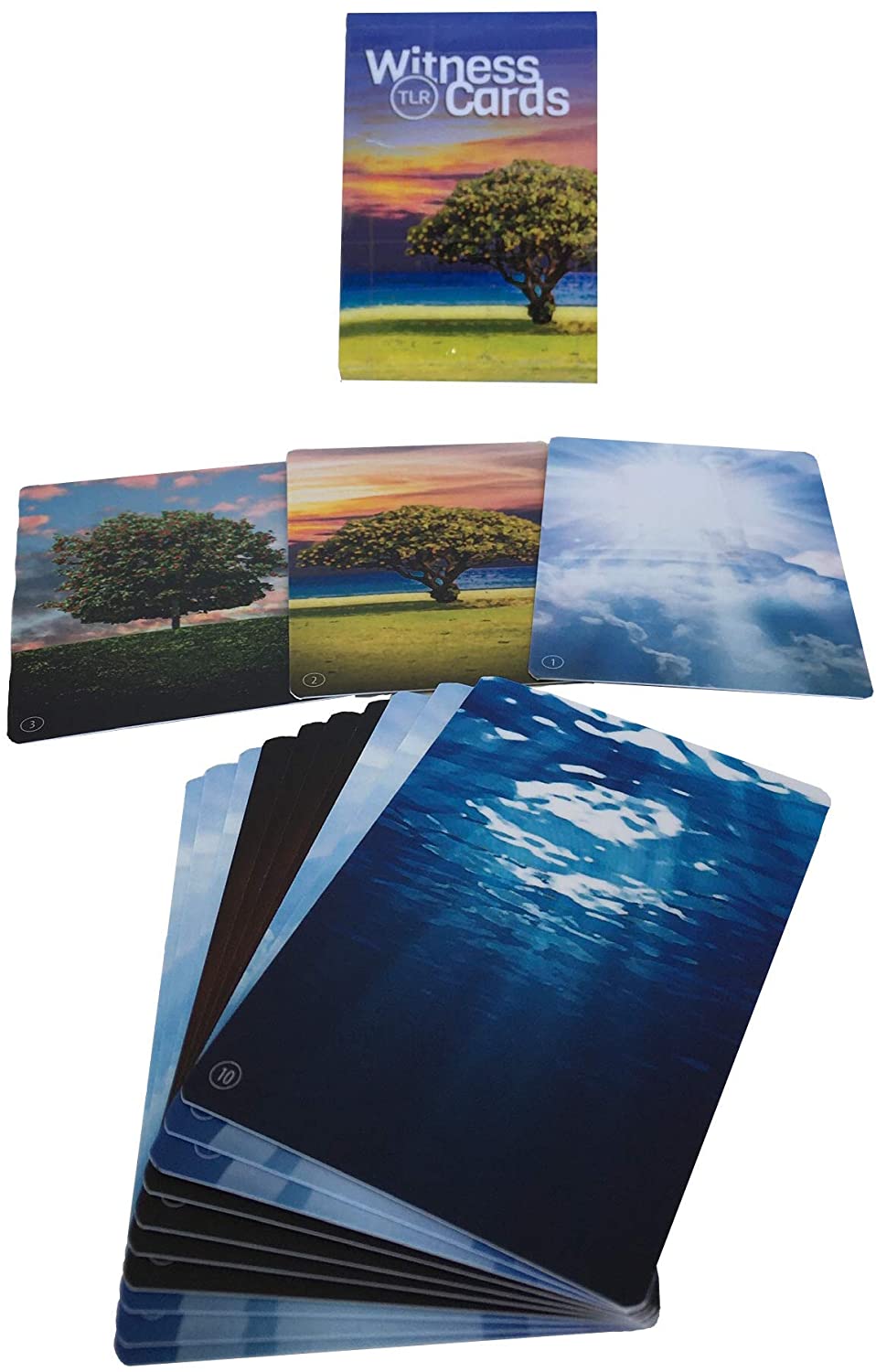 TLR Witness Cards: Share The Gospel and Make Disciples