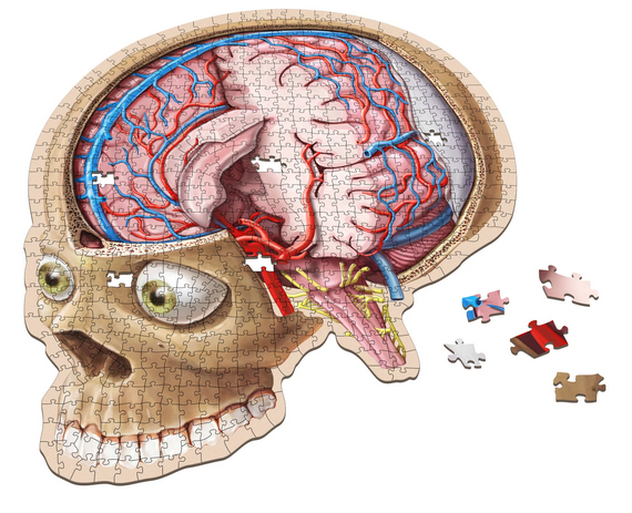 Puzzle - Genius Games - Dr Livingston: Human Brain (662 Pieces)