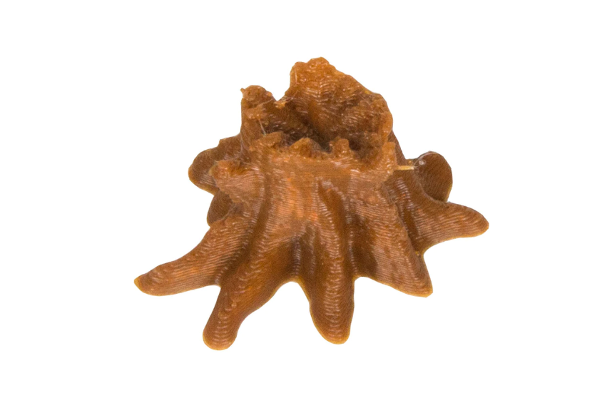 Broken Token - Stump Tokens