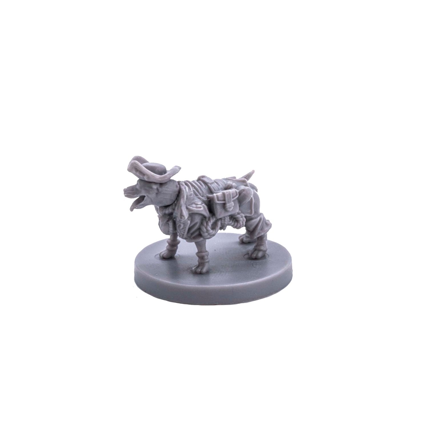 Animal Adventures - Dogs of Gullet Cove