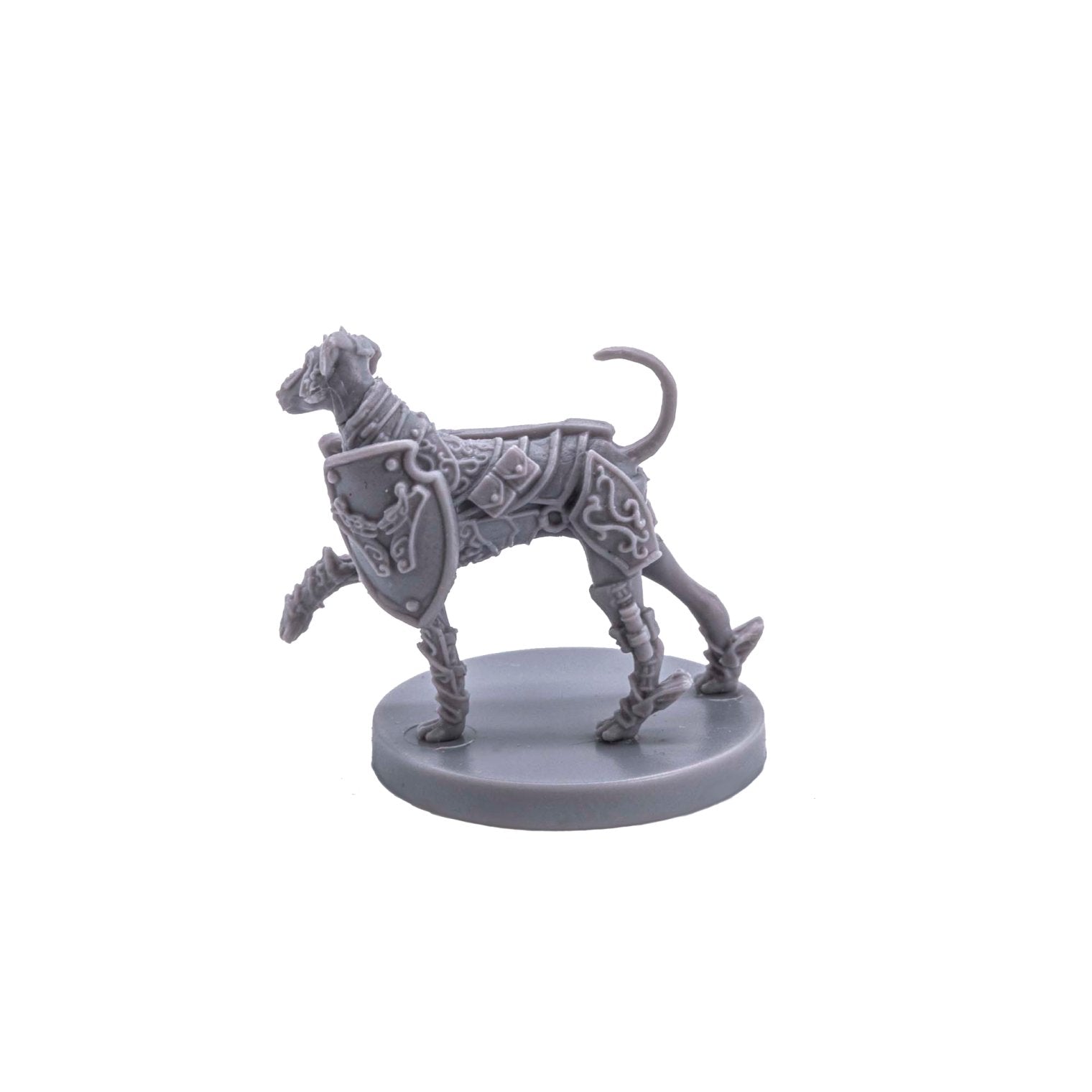 Animal Adventures - Dogs of Gullet Cove