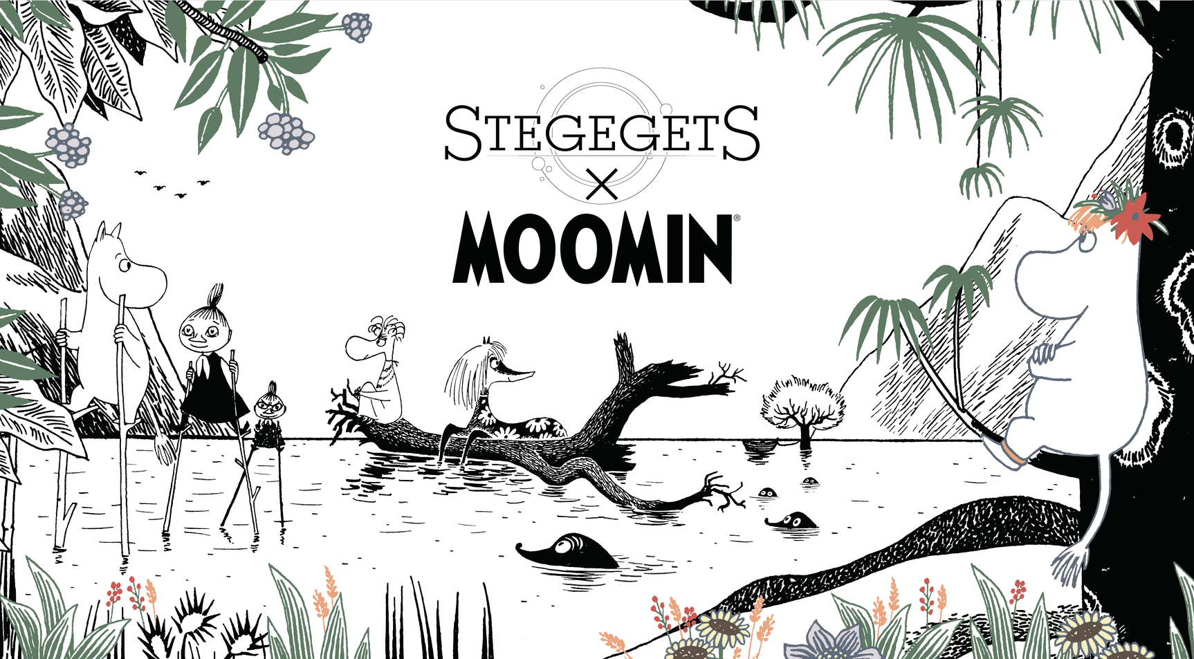 StegegetS Moomin