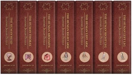 Puzzle - Genius Games - Dr Livingston: Entire Human Body - Set of 7