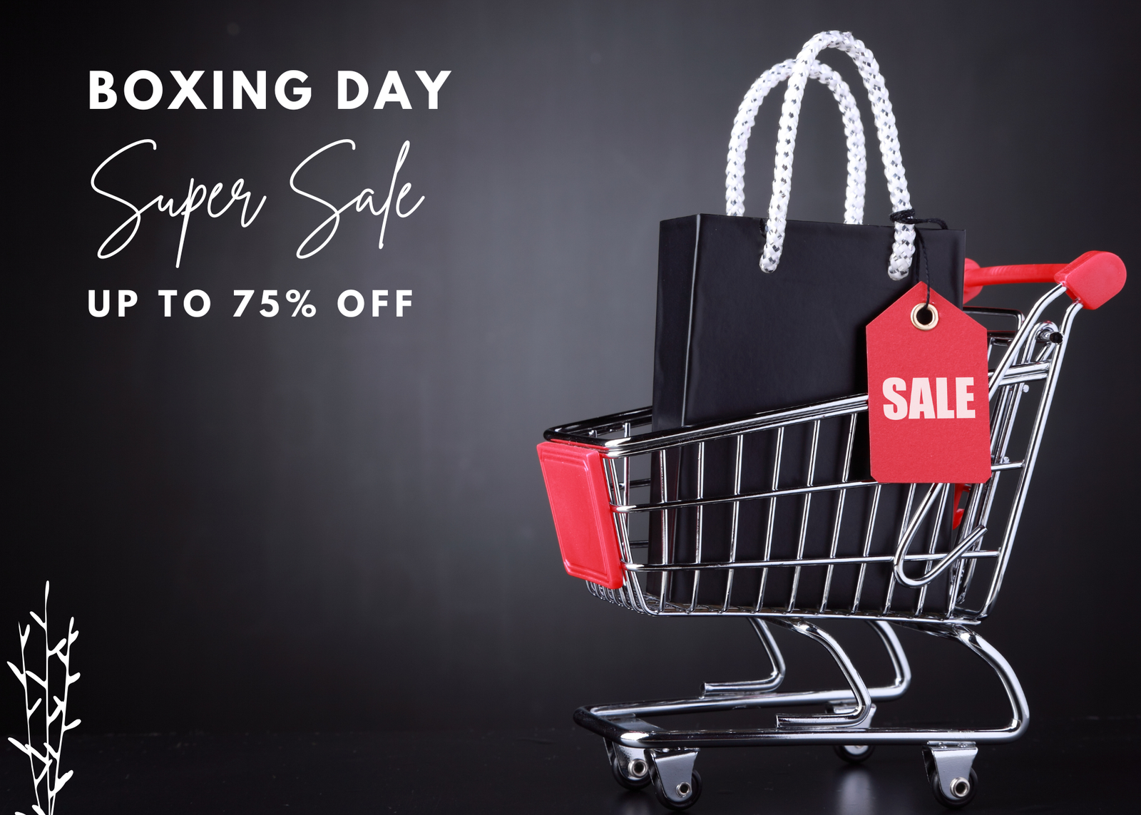 Boxing Sale 2025 Announcement