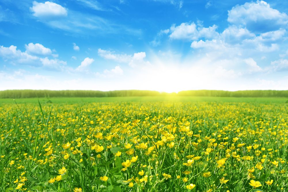 Spring Special - April/May 2021
