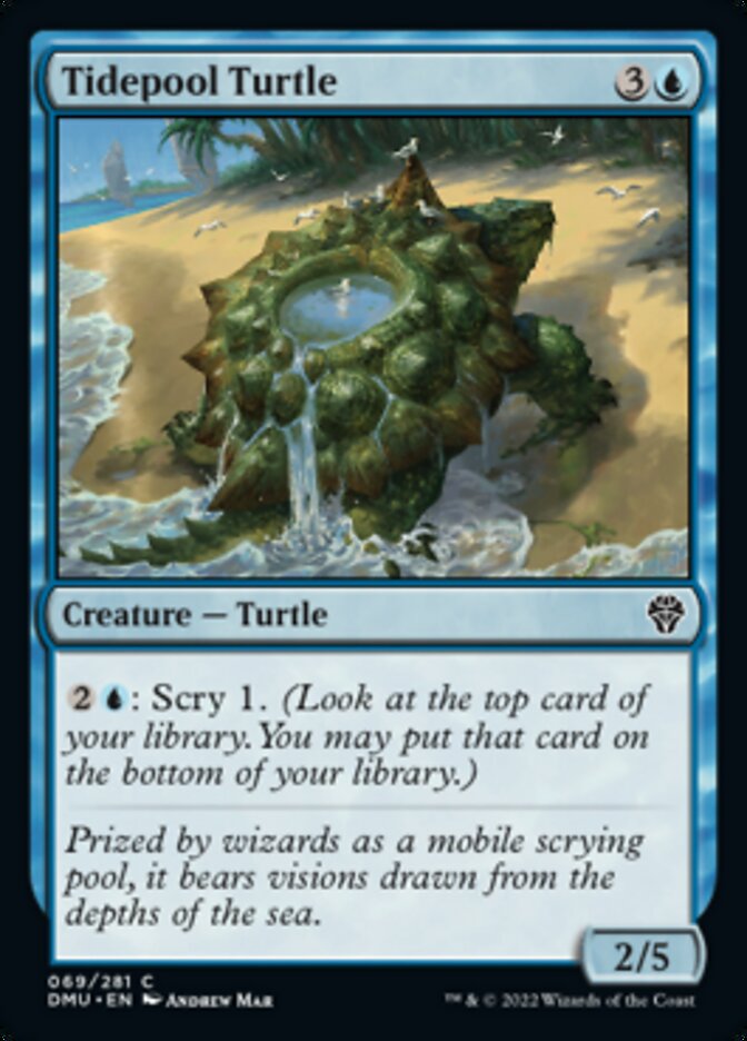 Tidepool Turtle (DMU-069) - Dominaria United [Common]