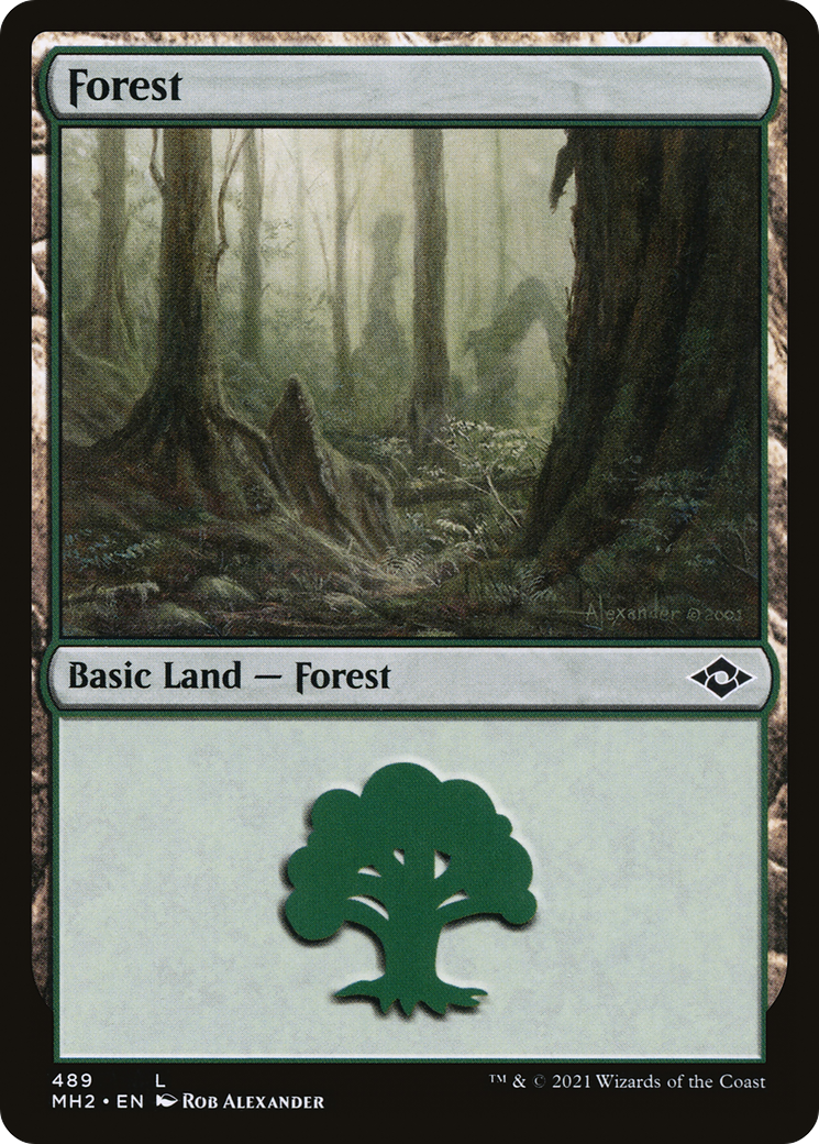 Forest (MH2-489) - Modern Horizons 2 Etched Foil [Common]