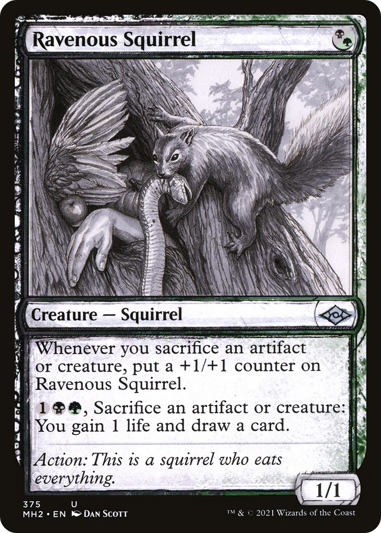Ravenous Squirrel (MH2-375) - Modern Horizons 2: (Showcase) [Uncommon]