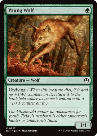 Young Wolf (INR-227) - Innistrad Remastered Foil [Common]
