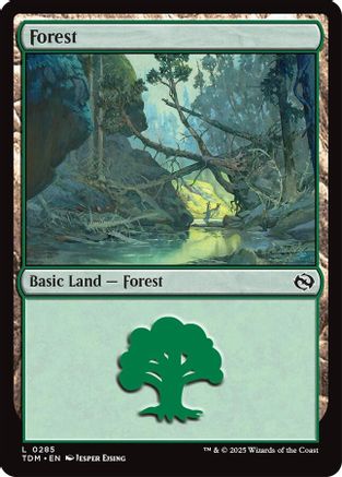 Forest (0285) (TDM-285) - Tarkir: Dragonstorm [Land]