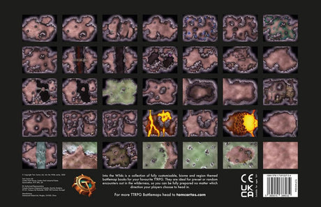 Into the Wilds Battlemap Books - Caves & Caverns
