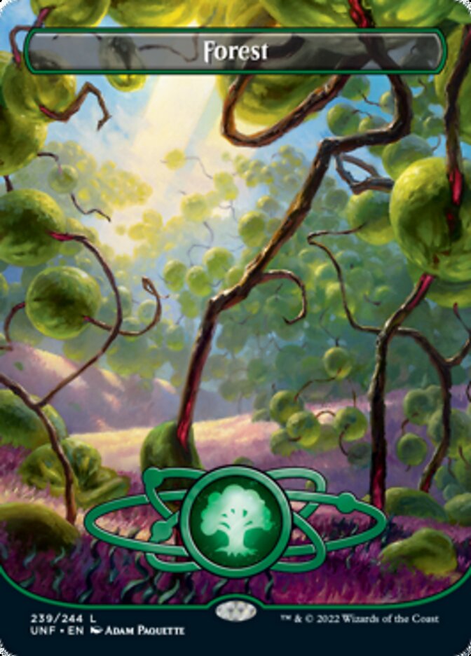 Forest (UNF-239) - Unfinity (Borderless) [Common]