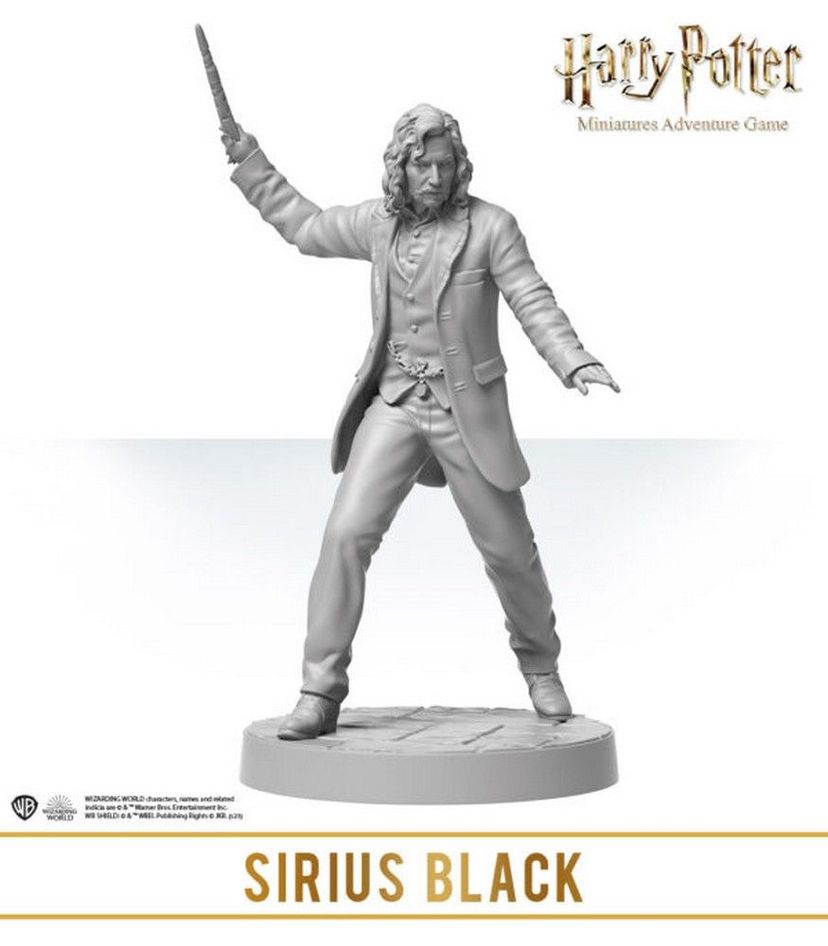 Harry Potter Miniatures Adventure Game - Wizarding Duels: Magical Masters *PRE-ORDER*