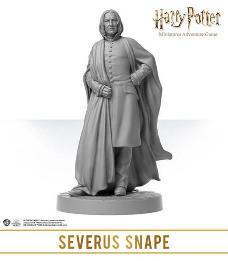 Harry Potter Miniatures Adventure Game - Wizarding Duels: Servants of the Dark Lord *PRE-ORDER*