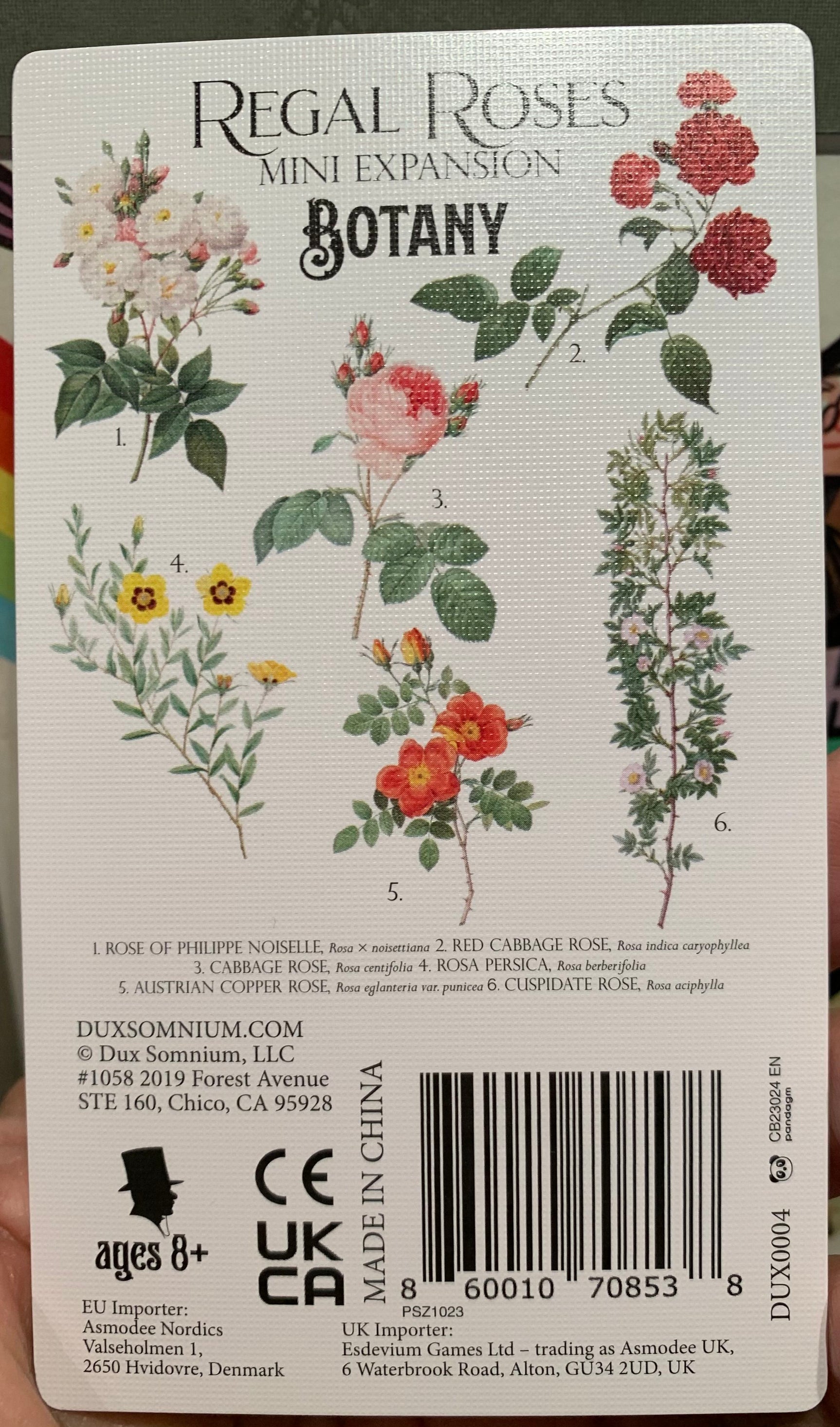 Botany: Regal Roses *PRE-ORDER*