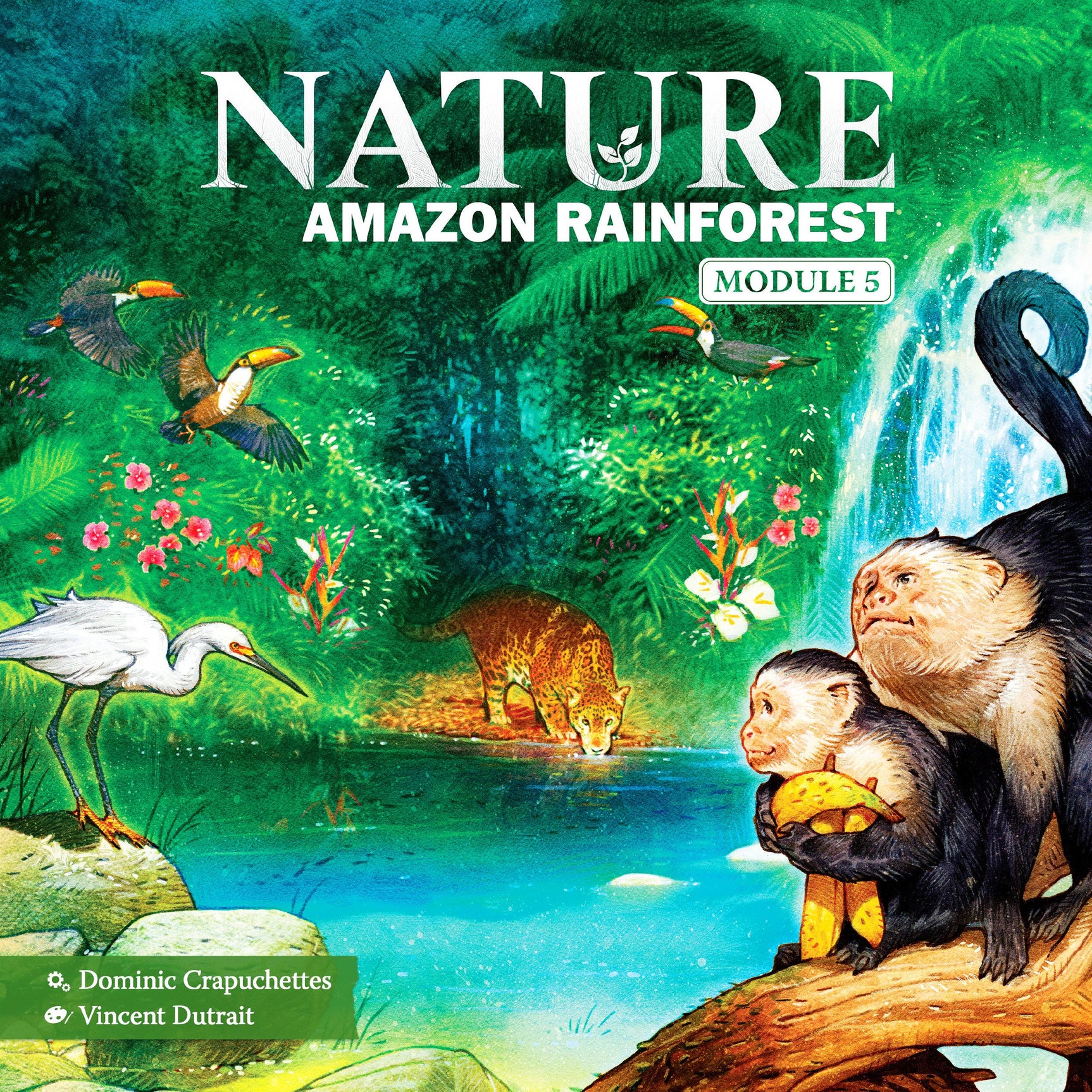 Nature: Amazon Rainforest *PRE-ORDER*