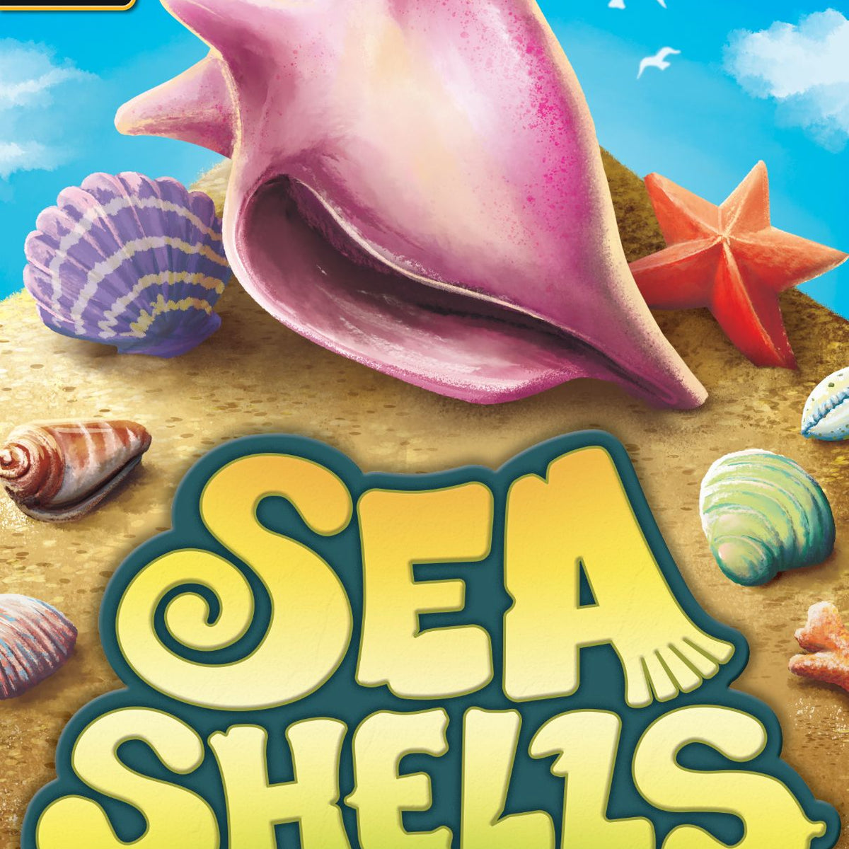 Seashells *PRE-ORDER* – Board Game Bliss