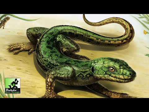 Evolution: New World