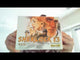 Sherlock 13