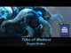 Tides of Madness