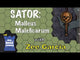 Sator Arepo Tenet Opera Rotas: Malleus Maleficarum