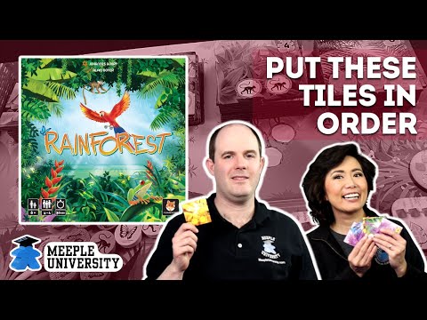 Rainforest City (Import)