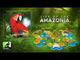 Life of the Amazonia (Minor Damage)