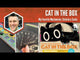 Cat in the Box: Deluxe Edition