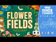 Flower Fields