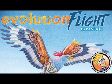 Evolution: Flight