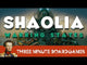 Shaolia: Warring States