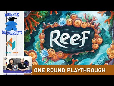 Reef
