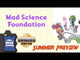 Mad Science Foundation