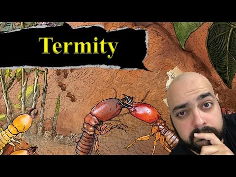 Termity
