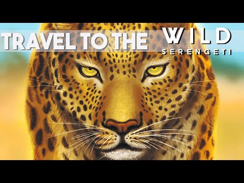 Wild: Serengeti
