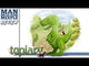 Topiary