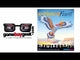 Evolution: Flight