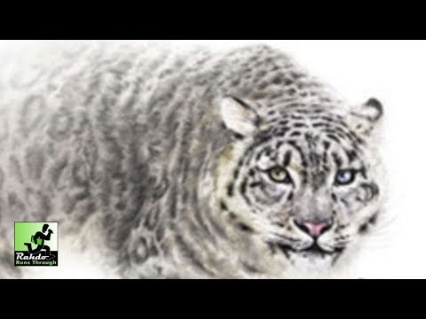 The Sanctuary: Endangered Species