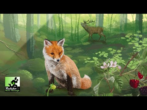 Forest Shuffle