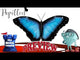Papillon