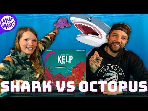 Kelp: Shark vs Octopus