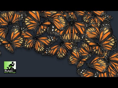 Mariposas