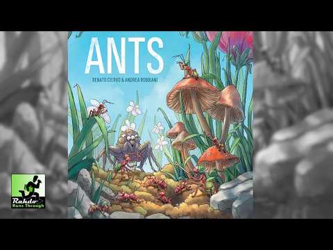 Ants *PRE-ORDER*