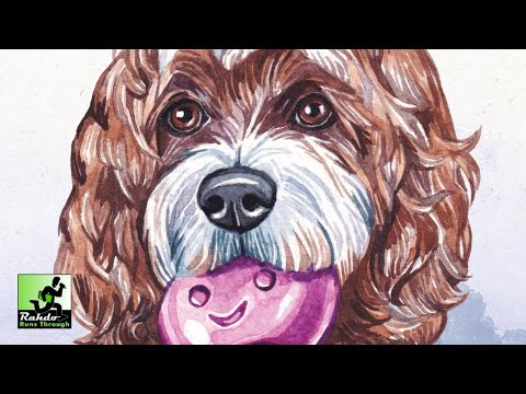 Dog Park (Standard Edition)