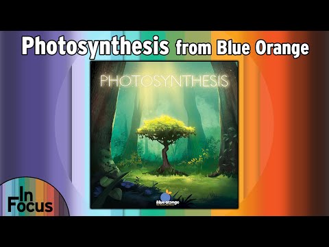 Photosynthesis