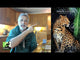 Earth: Animal Kingdom *PRE-ORDER*