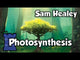 Photosynthesis